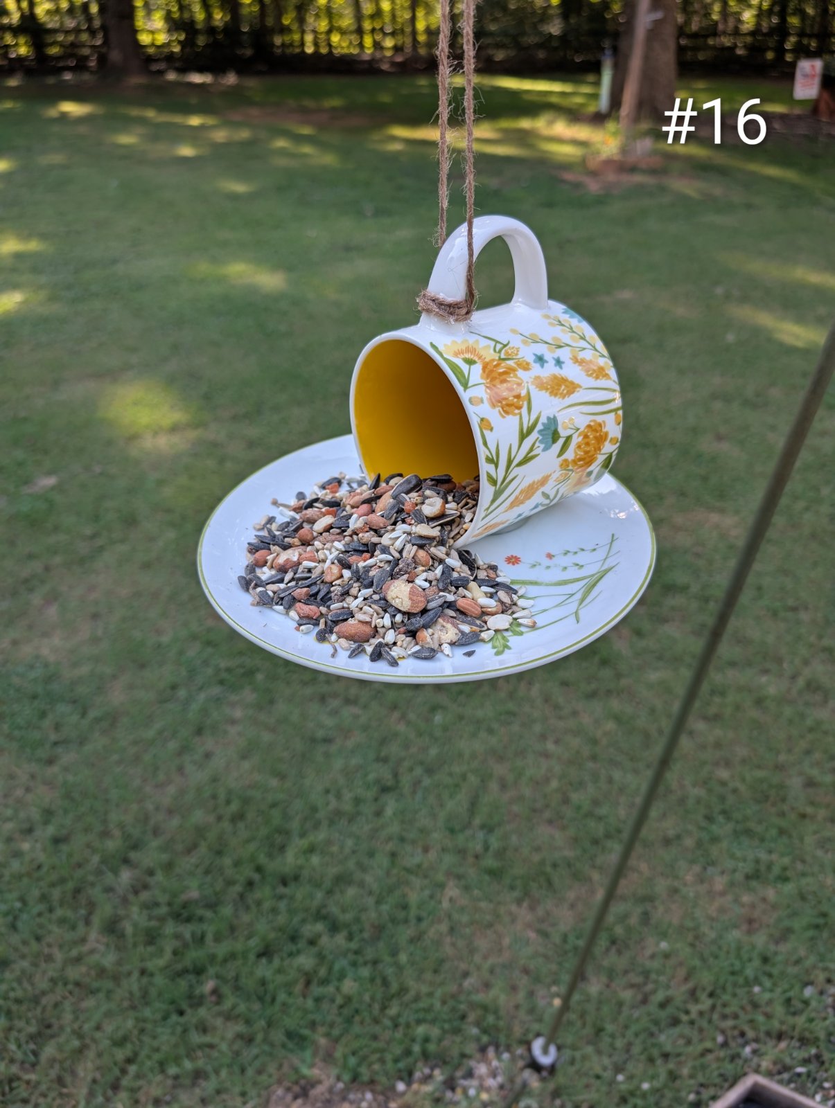 Birdfeeder No. 16 (1 of 1)