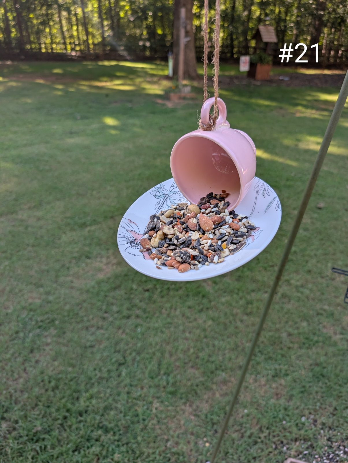 Birdfeeder No. 21 (1 of 1)